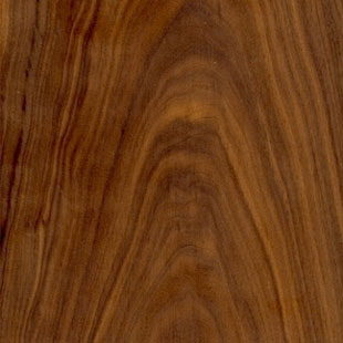 Appalachian Walnut